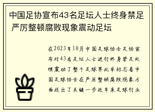 中国足协宣布43名足坛人士终身禁足 严厉整顿腐败现象震动足坛
